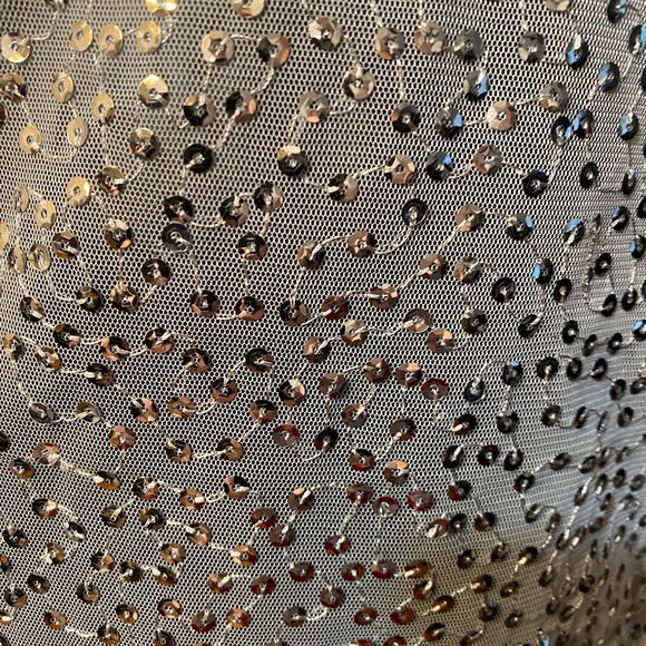 INC Semi sheer silver sequin short sleeve top - Picture 8 of 16